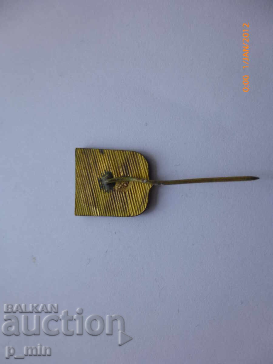 Delivery of Breast badge - Radnevo Delivery of Breast badge - Radnevo