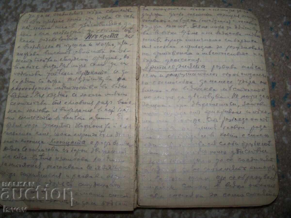 Caiet de luptă al unui elev al colonelului Boris Drangov, 1916 - 5