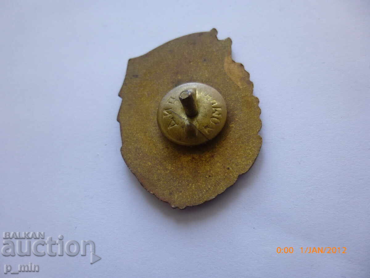 badge - Excellent student with price 10.00 BGN | € 5.11