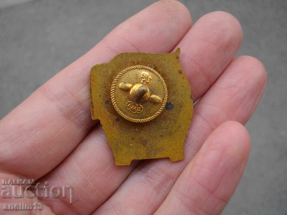 Livrarea INSIGNĂ MAI EXCELENT BRONZ EMAIL ȘURUB