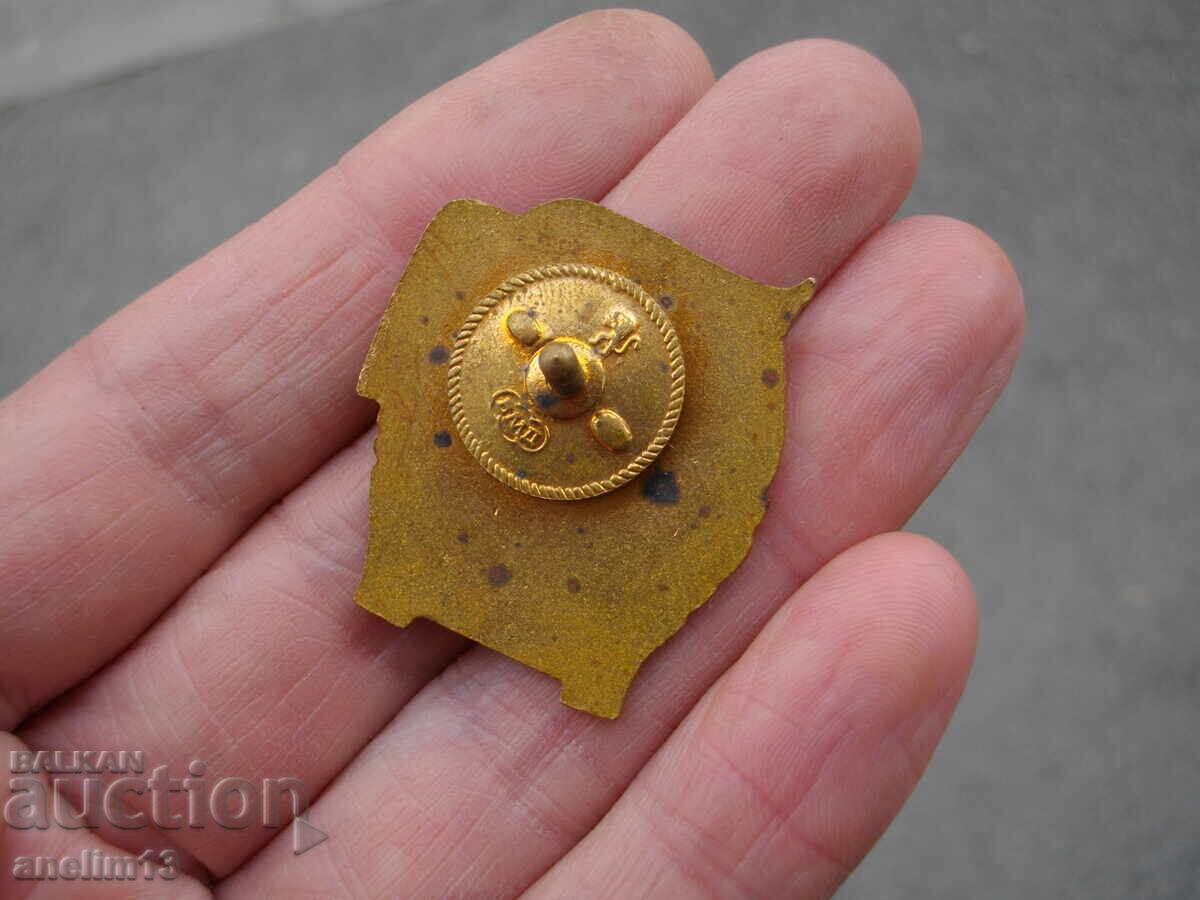 INSIGNĂ MAI EXCELENT BRONZ EMAIL ȘURUB - 5