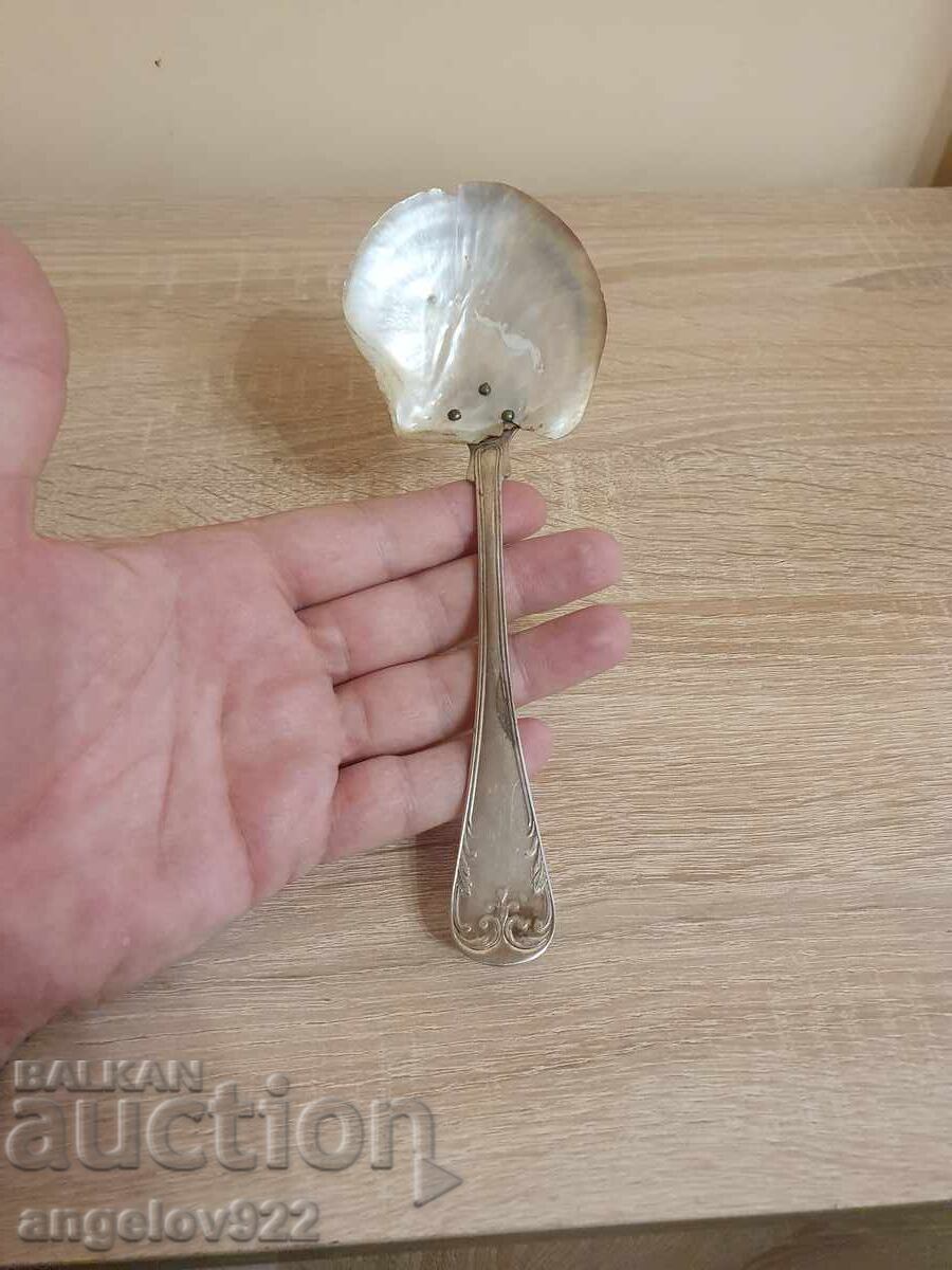 Σπάτουλα PRIMA NS με τιμή 0.01 BGN | € 0.01 Σπάτουλα PRIMA NS με τιμή 0.01 BGN | € 0.01