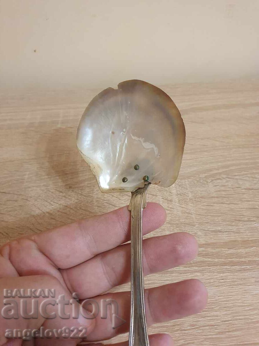 Δημοπρασία Σπάτουλα PRIMA NS Δημοπρασία Σπάτουλα PRIMA NS