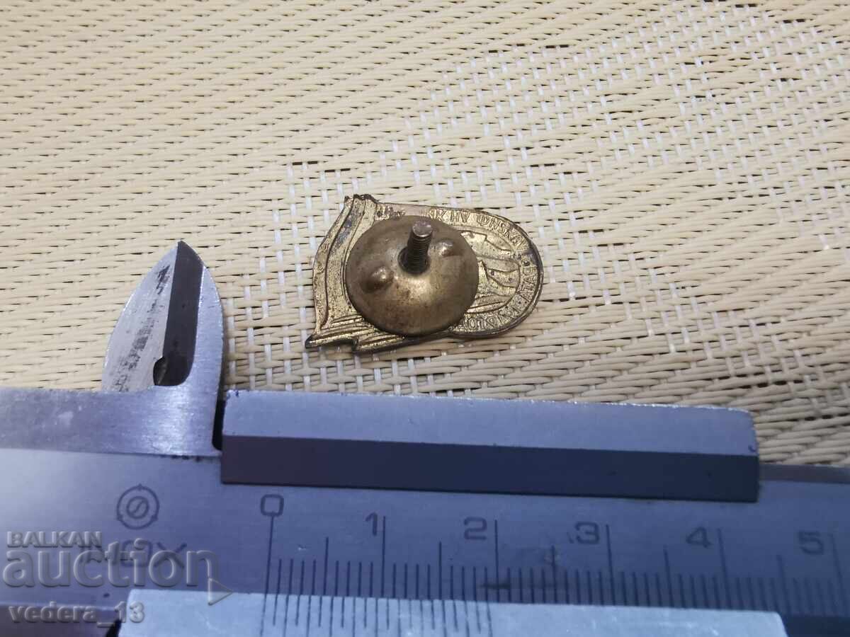 Auction  BADGE-BRONZE