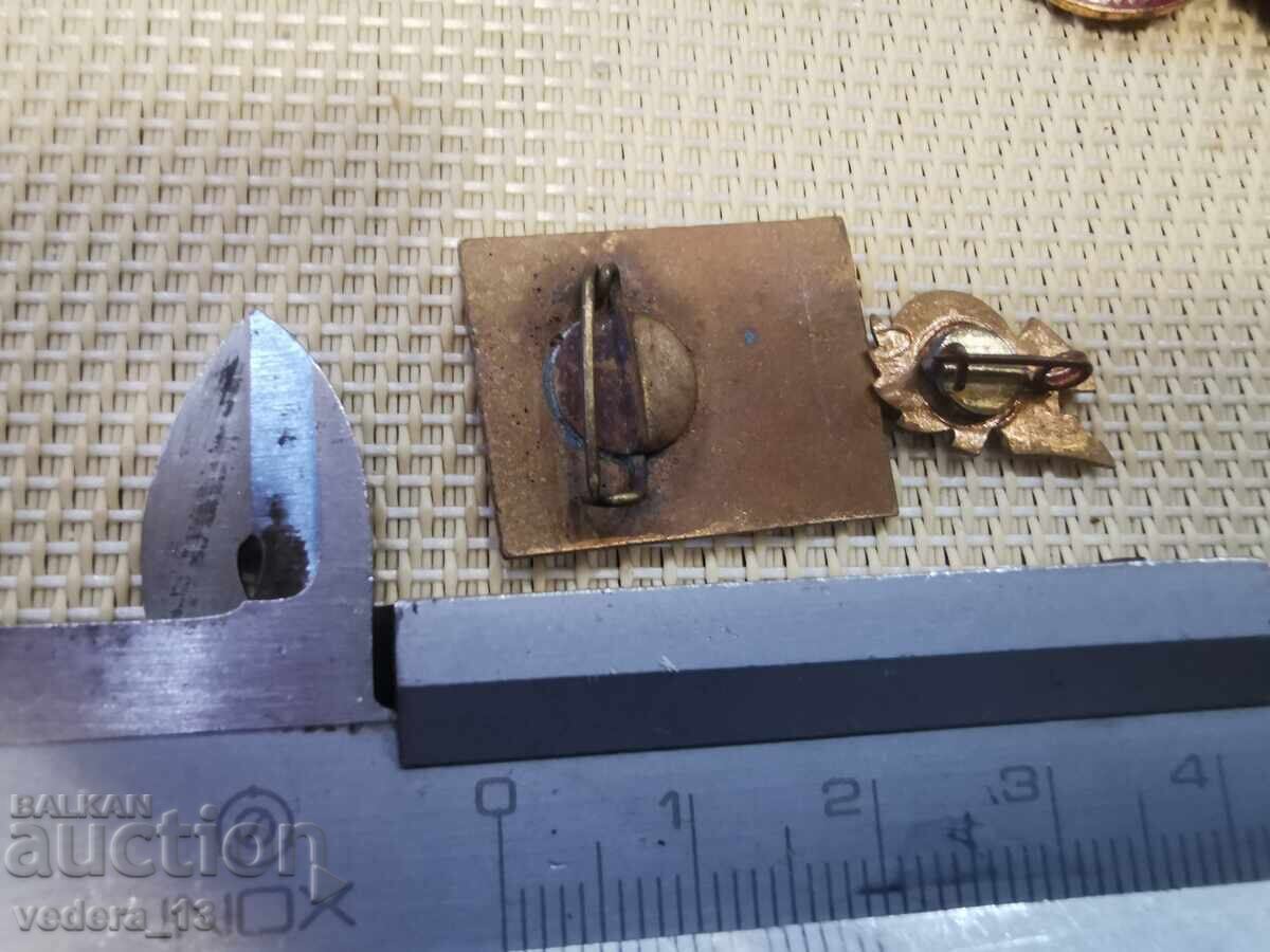 ЛОТ ЗНАЧКИ- ЕМАЙЛБРОНЗ с цена 10.00 лв. | € 5.11