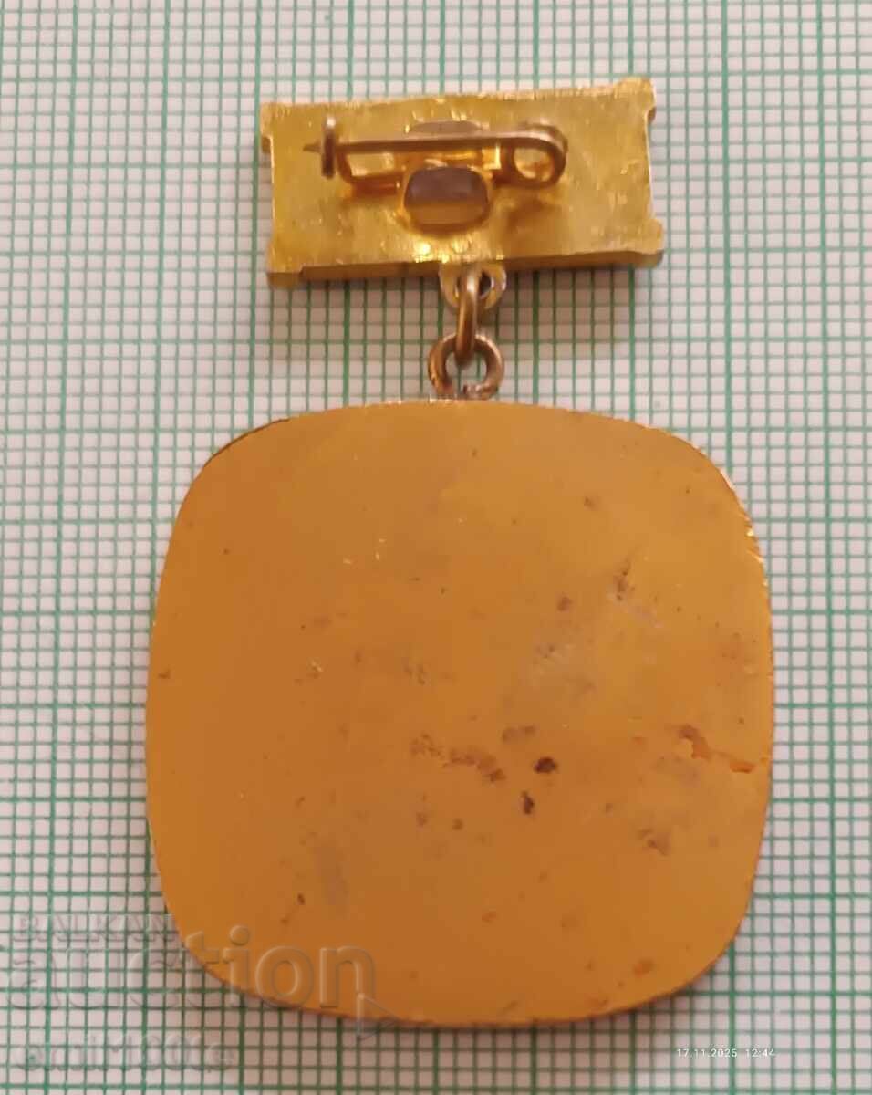 Semn - Pentru succes excelent și comportament exemplar - 5