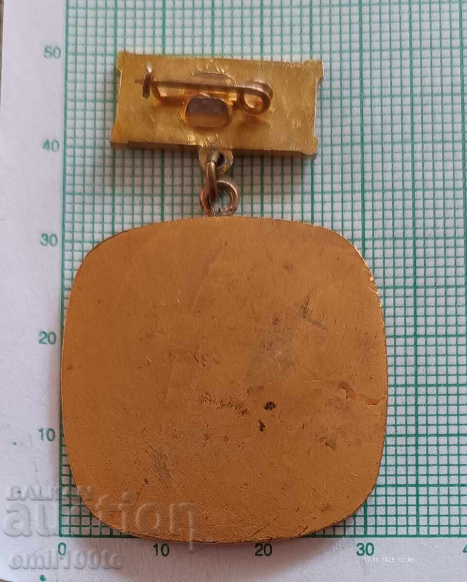 Semn - Pentru succes excelent și comportament exemplar - 6