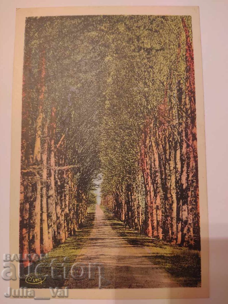 Πολύ παλιά καρτ ποστάλ - ζωγραφική - Γαλλία Πολύ παλιά καρτ ποστάλ - ζωγραφική - Γαλλία