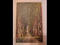 Много стара картичка - картина - Франция