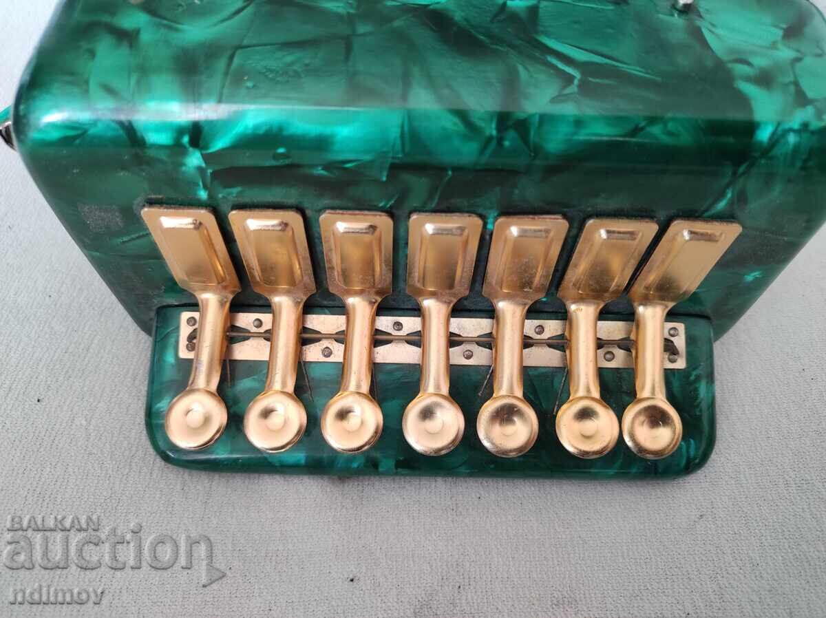 Delivery of Children's Accordion Accordion Delivery of Children's Accordion Accordion