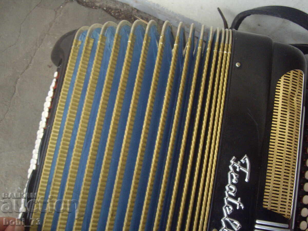 Old Italian Accordion - 7 Old Italian Accordion - 7