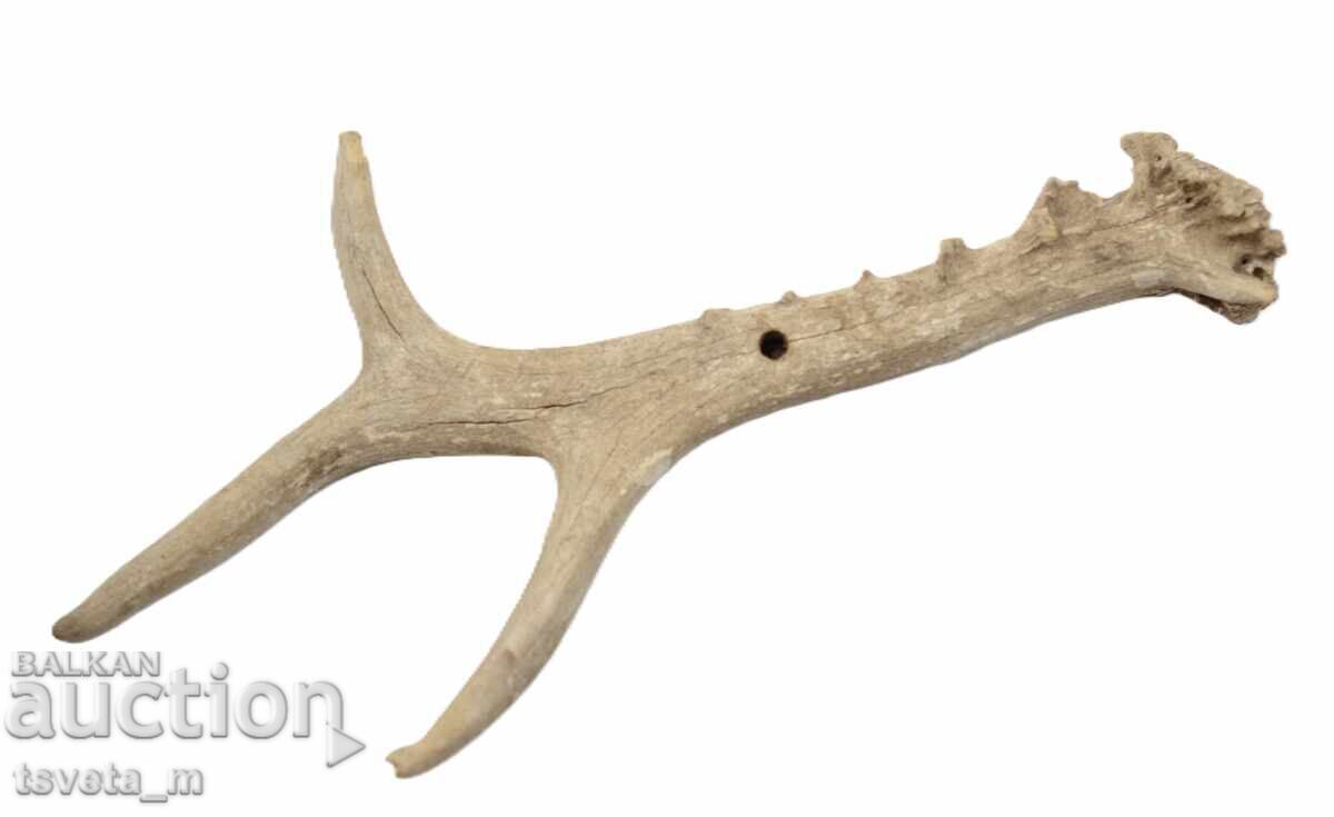 Antler with price 10.00 BGN | € 5.11 Antler with price 10.00 BGN | € 5.11