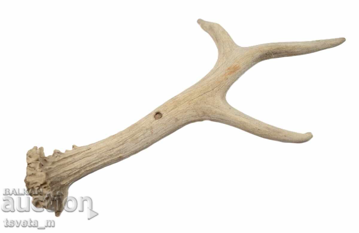 Antler Antler