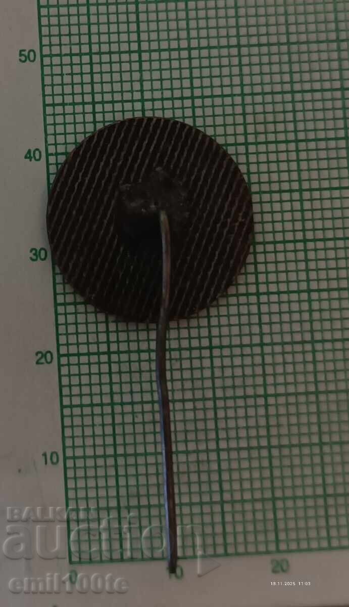 Badge - BMT Bureau for Youth Tourism Orbita - 5 Badge - BMT Bureau for Youth Tourism Orbita - 5