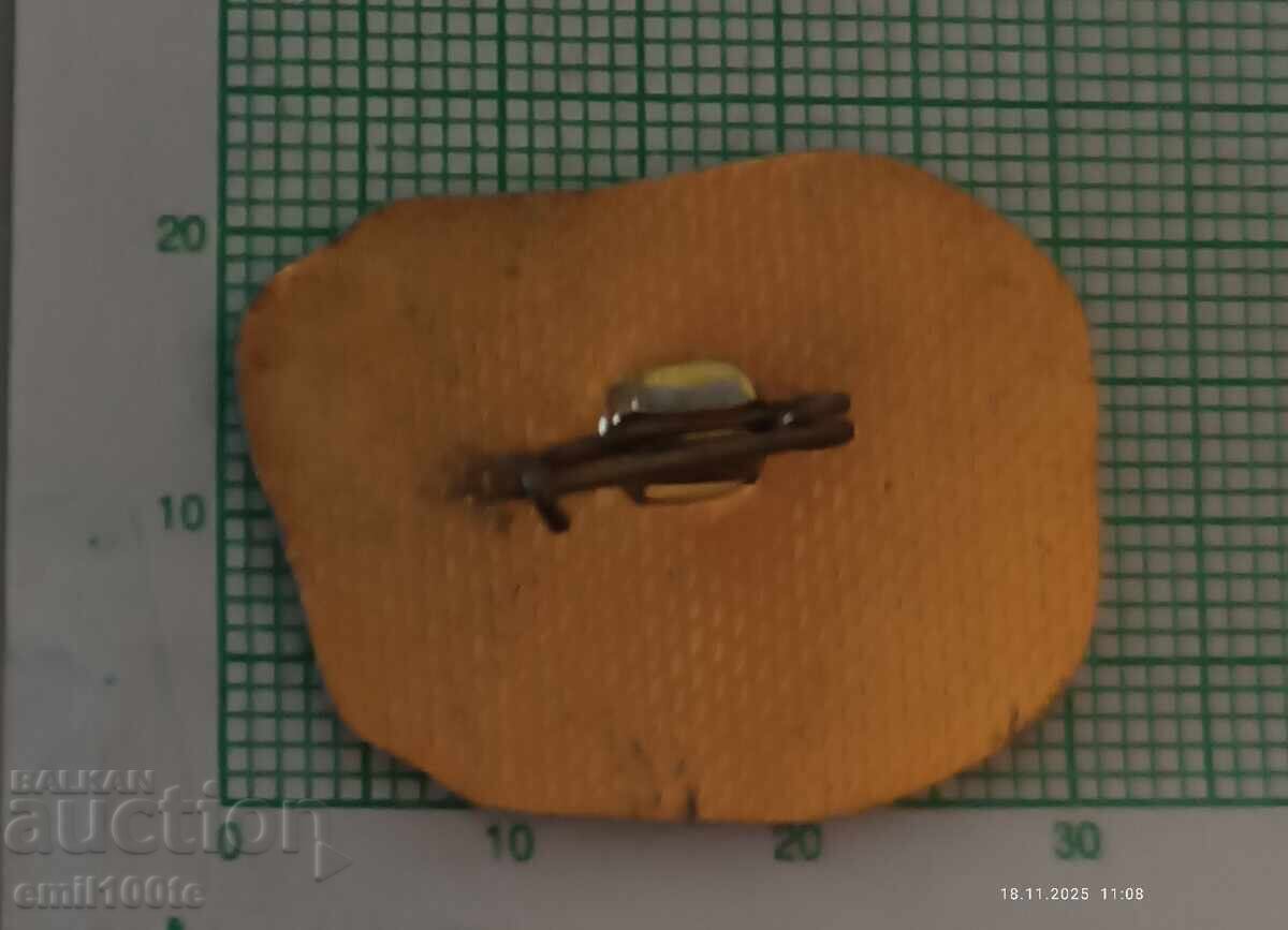 Badge - District History Museum Razgrad - 5 Badge - District History Museum Razgrad - 5