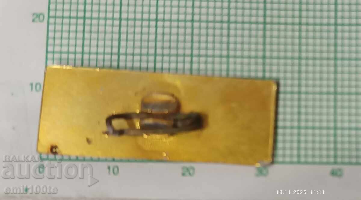 Badge - 1300 years of Bulgaria - 5