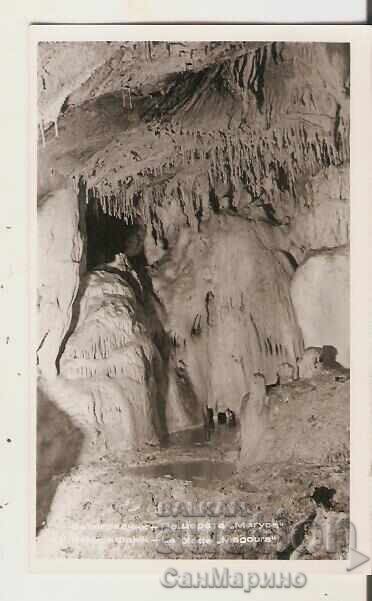 Bulgaria Card The Magura Cave (Rabishka Cave) 8*