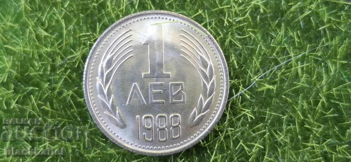 Λοτ 1988 - 5