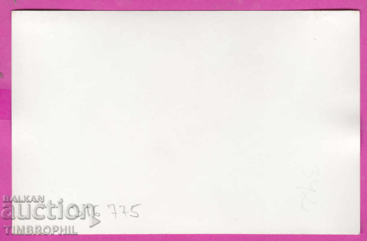 316775 / Wedding photo Beautiful bride and Groom with price 4.00 BGN | € 2.05