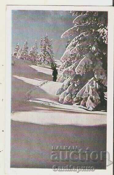Bulgaria Postcard Sofia Vitosha Winter Landscape 5** Bulgaria Postcard Sofia Vitosha Winter Landscape 5**