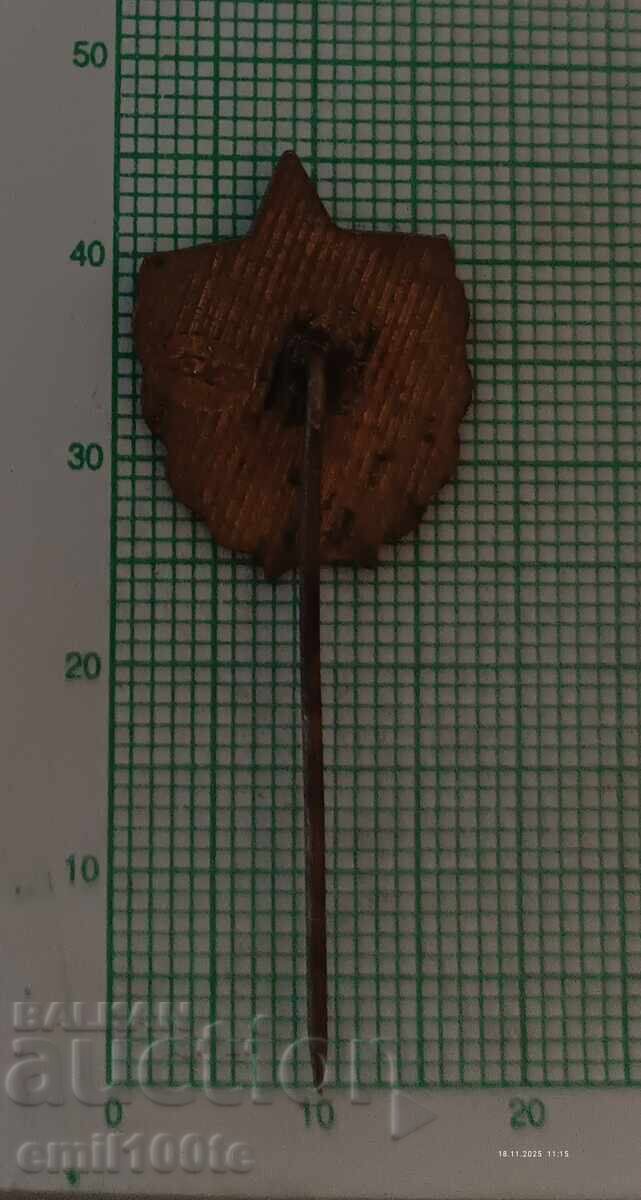 Σήμα - ΒΙΕΦ Γεώργι Δημητρόφ (τώρα ΝΣΑ) - 5