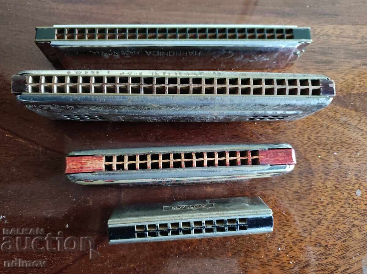 !!! LOT OF BZCH ACCORDIONS!!! ACCORDION - 5 !!! LOT OF BZCH ACCORDIONS!!! ACCORDION - 5