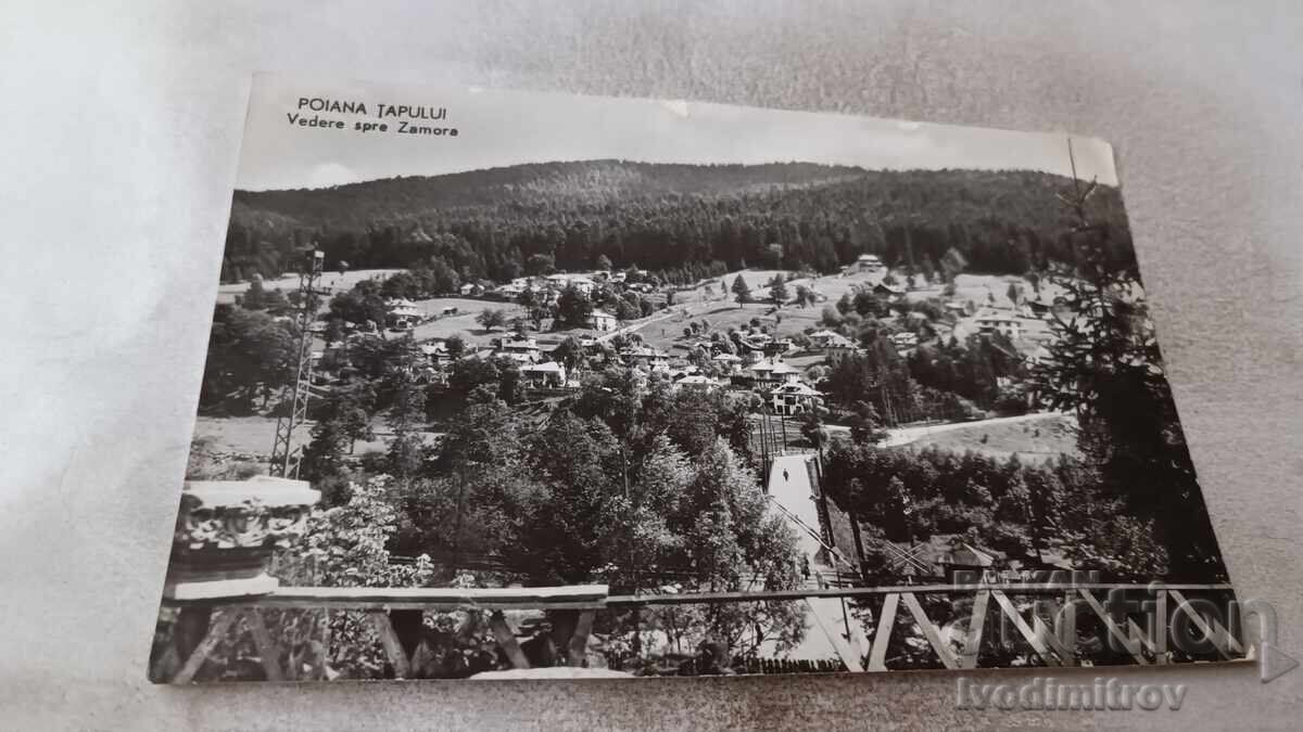 Пощенска картичка Poiana Tapului Vedere spre Zamora 1961