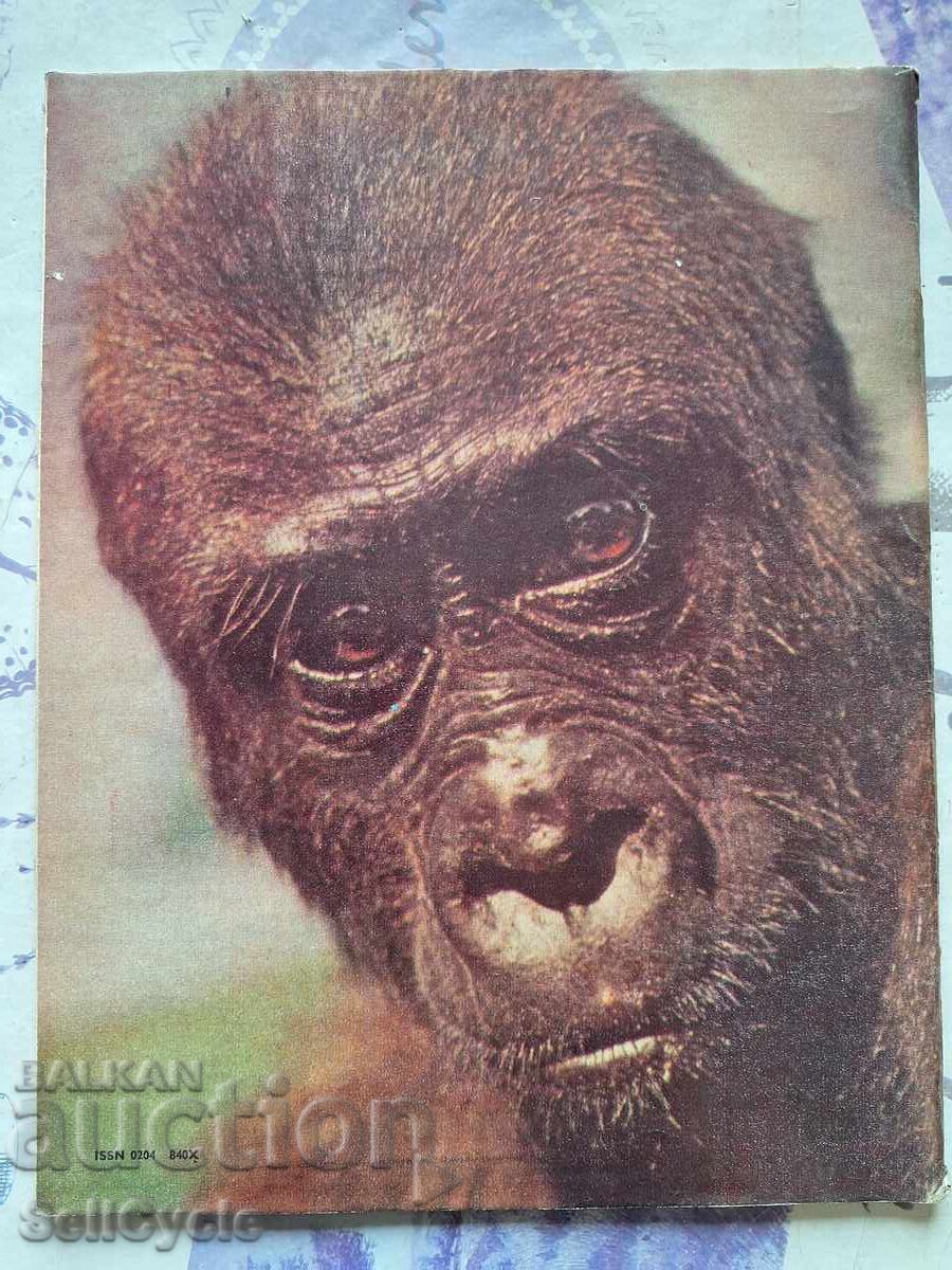 ✅REVISTA COSMOS - 1983 G. - NUMĂRUL 4❗ cu preț 0.01 BGN | € 0.01 ✅REVISTA COSMOS - 1983 G. - NUMĂRUL 4❗ cu preț 0.01 BGN | € 0.01