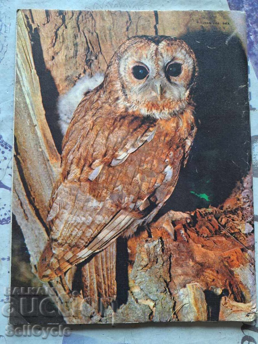 ✅ΠΕΡΙΟΔΙΚΟ ΚΟΣΜΟΣ - 1985 - ΤΕΥΧΟΣ 4❗ με τιμή 0.01 BGN | € 0.01 ✅ΠΕΡΙΟΔΙΚΟ ΚΟΣΜΟΣ - 1985 - ΤΕΥΧΟΣ 4❗ με τιμή 0.01 BGN | € 0.01