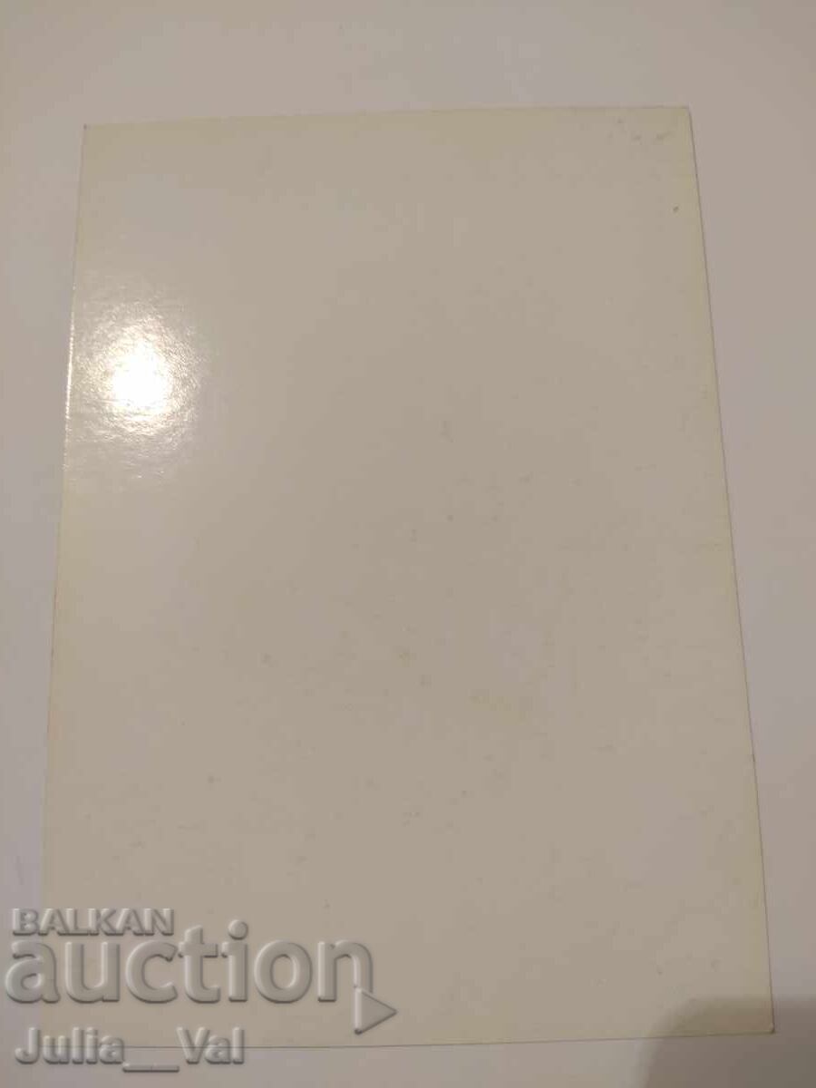 Auction Football - Autograph from Gerard Plessers - Hamburger Auction Football - Autograph from Gerard Plessers - Hamburger