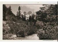 Καρτ ποστάλ Βουλγαρία Ρίλα Κορυφή Μάλιοβιτσα 12**