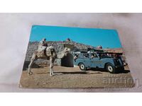 Carte poștală Matmata Saharian Planned Tours 1973