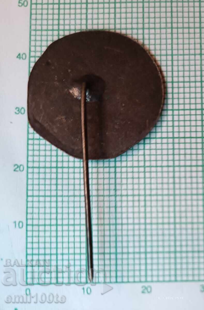 Delivery of Badge - 120 g. Cool school 100 g. Community center Elena