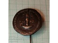 Insigna - 120 g. Școală primară 100 g. Cămin cultural Elena