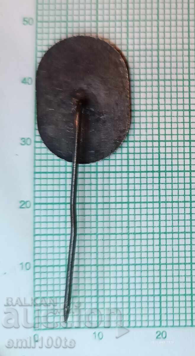 Badge - 20 years Haskovo Symphony Orchestra - 5 Badge - 20 years Haskovo Symphony Orchestra - 5