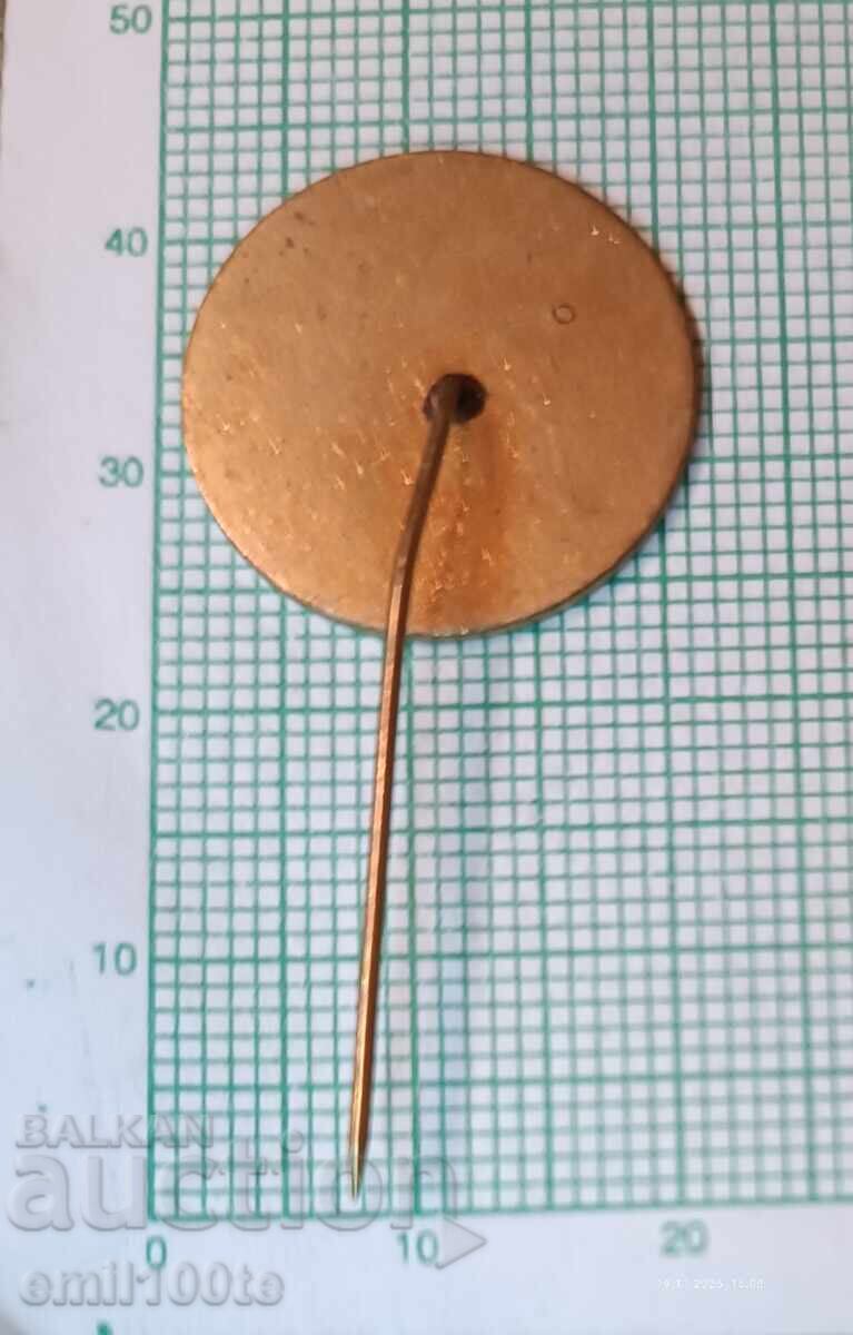 Badge - 100 Years of Preschool Education 1882 1982 - 5