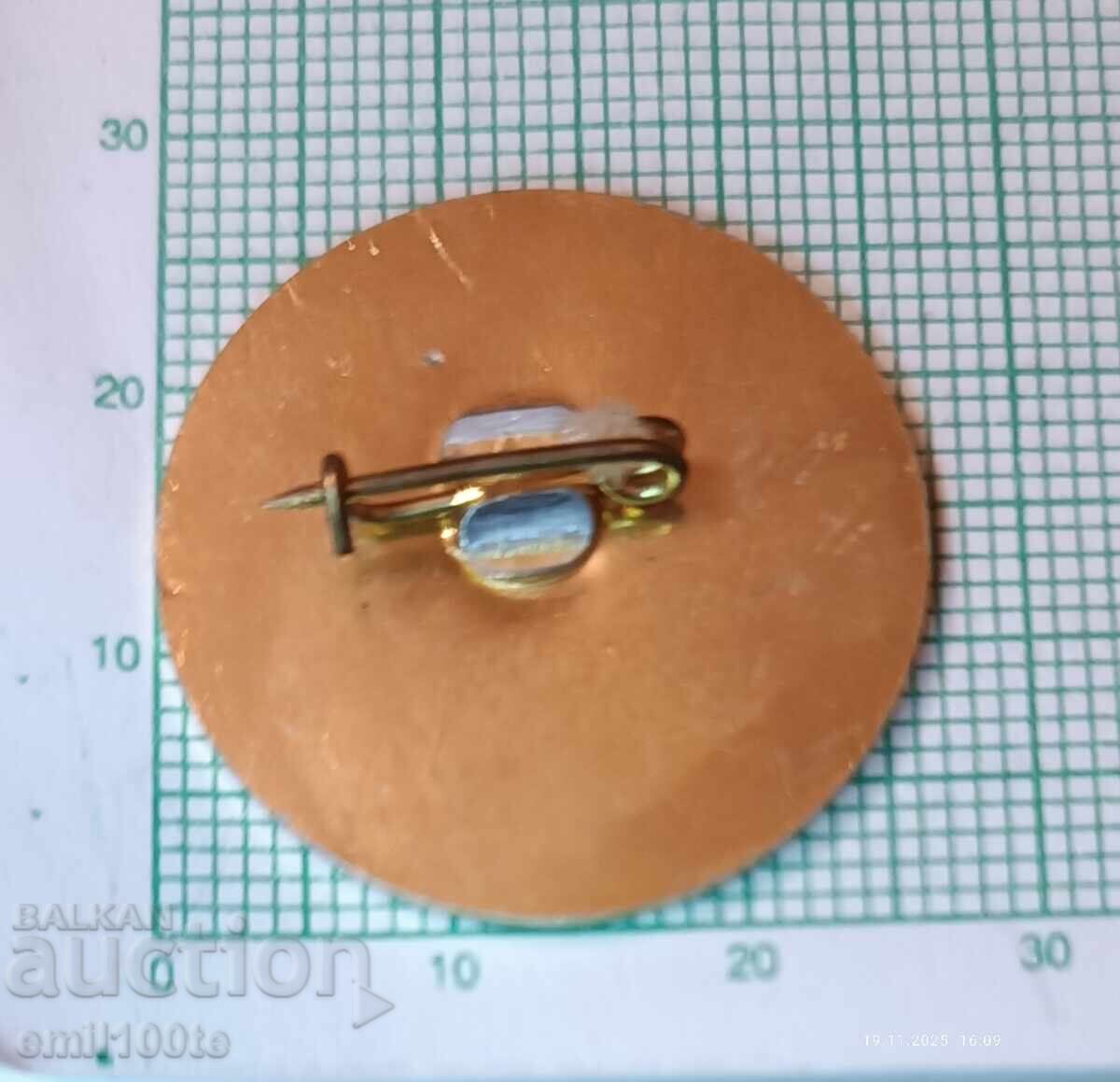 Παράδοση Σήμα 25 ετών 114 Γυμνασίου με διδασκαλία αγγλικών