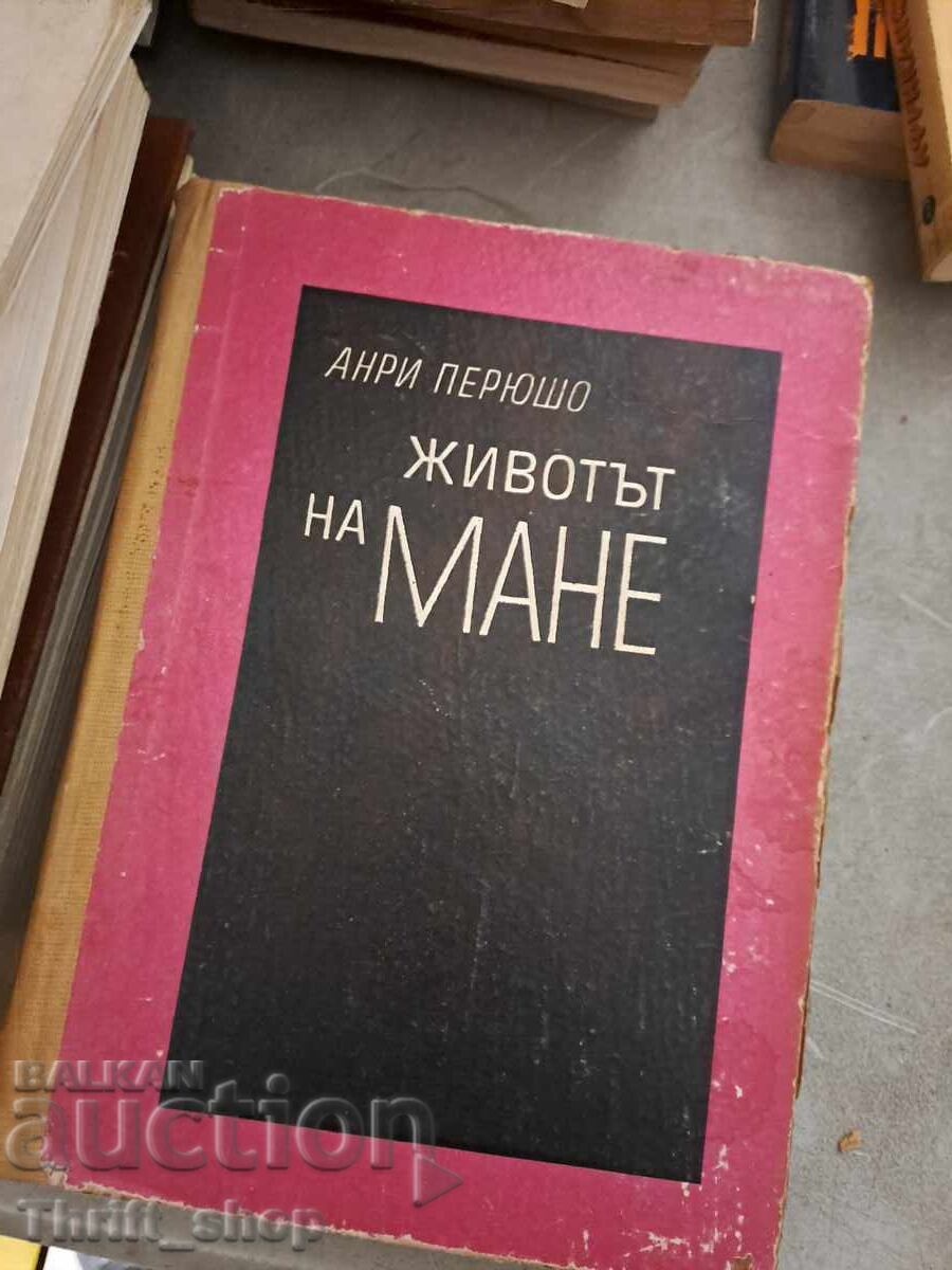 The Life of Manet by Henri Perruchot