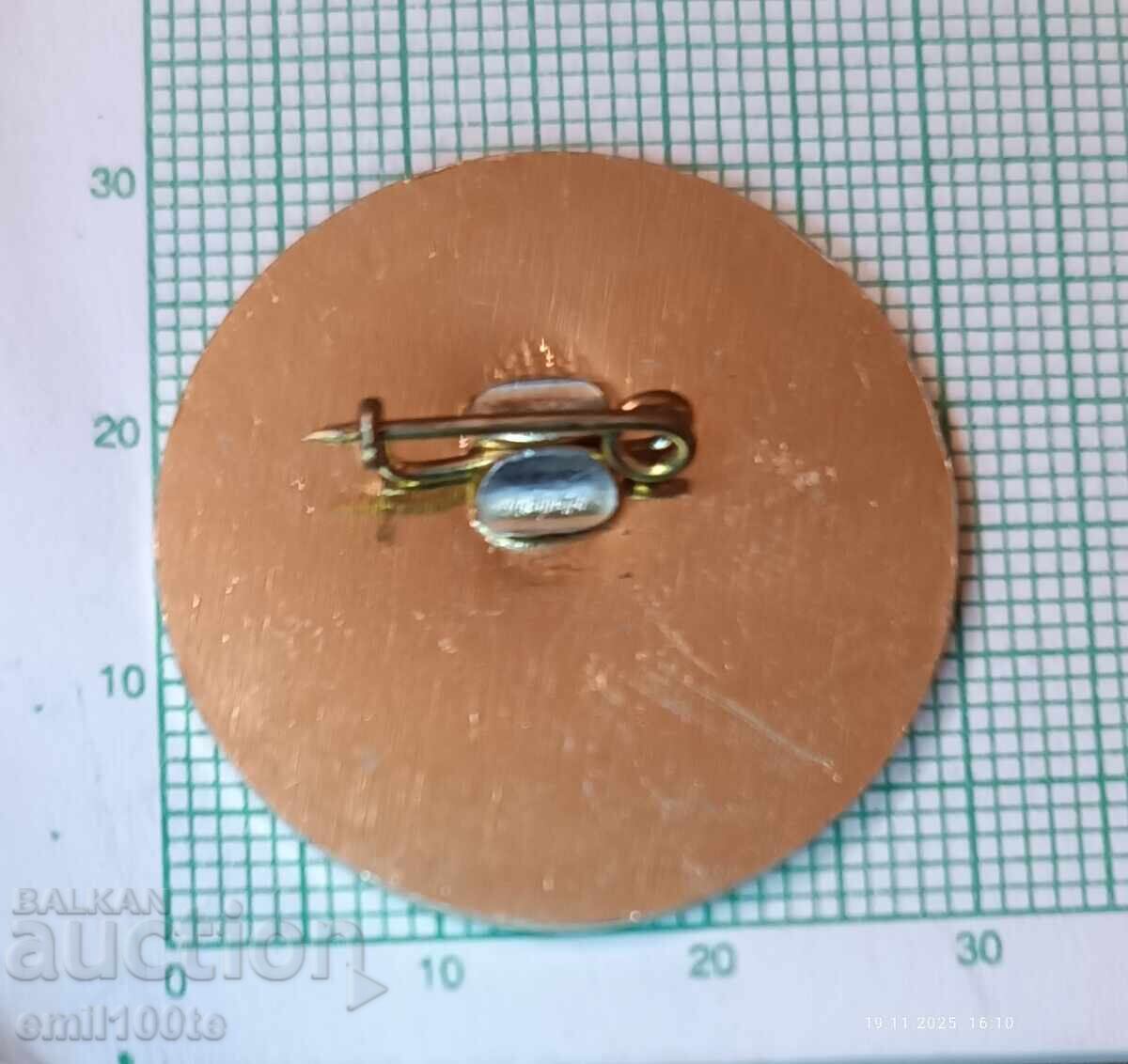 Delivery of NSI National Statistical Institute Republic of Bulgaria Delivery of NSI National Statistical Institute Republic of Bulgaria