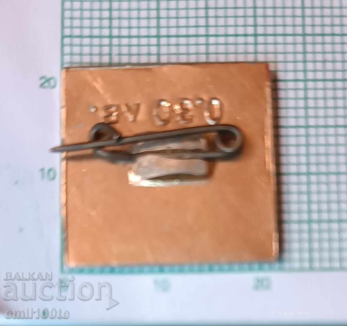 Livrarea Insigna - Panorama Pleven Epic 1877 Pleven Livrarea Insigna - Panorama Pleven Epic 1877 Pleven