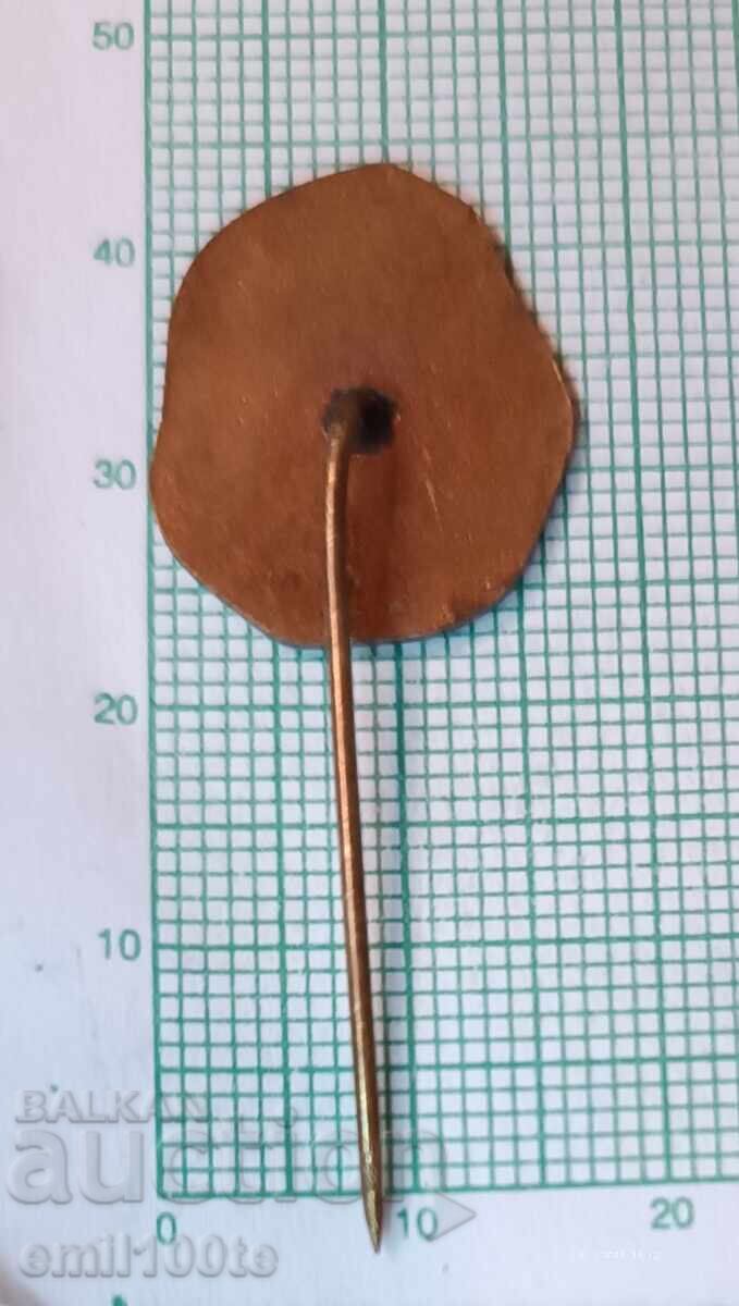 Badge - Pleven Mausoleum - 5