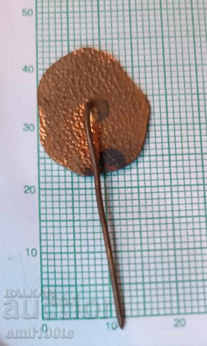 Badge - Pleven Mausoleum - 5