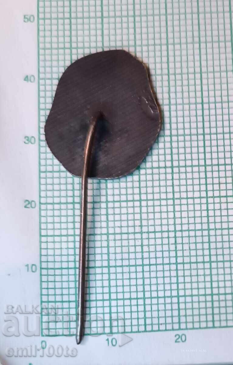 Delivery of Badge - Pleven Mausoleum