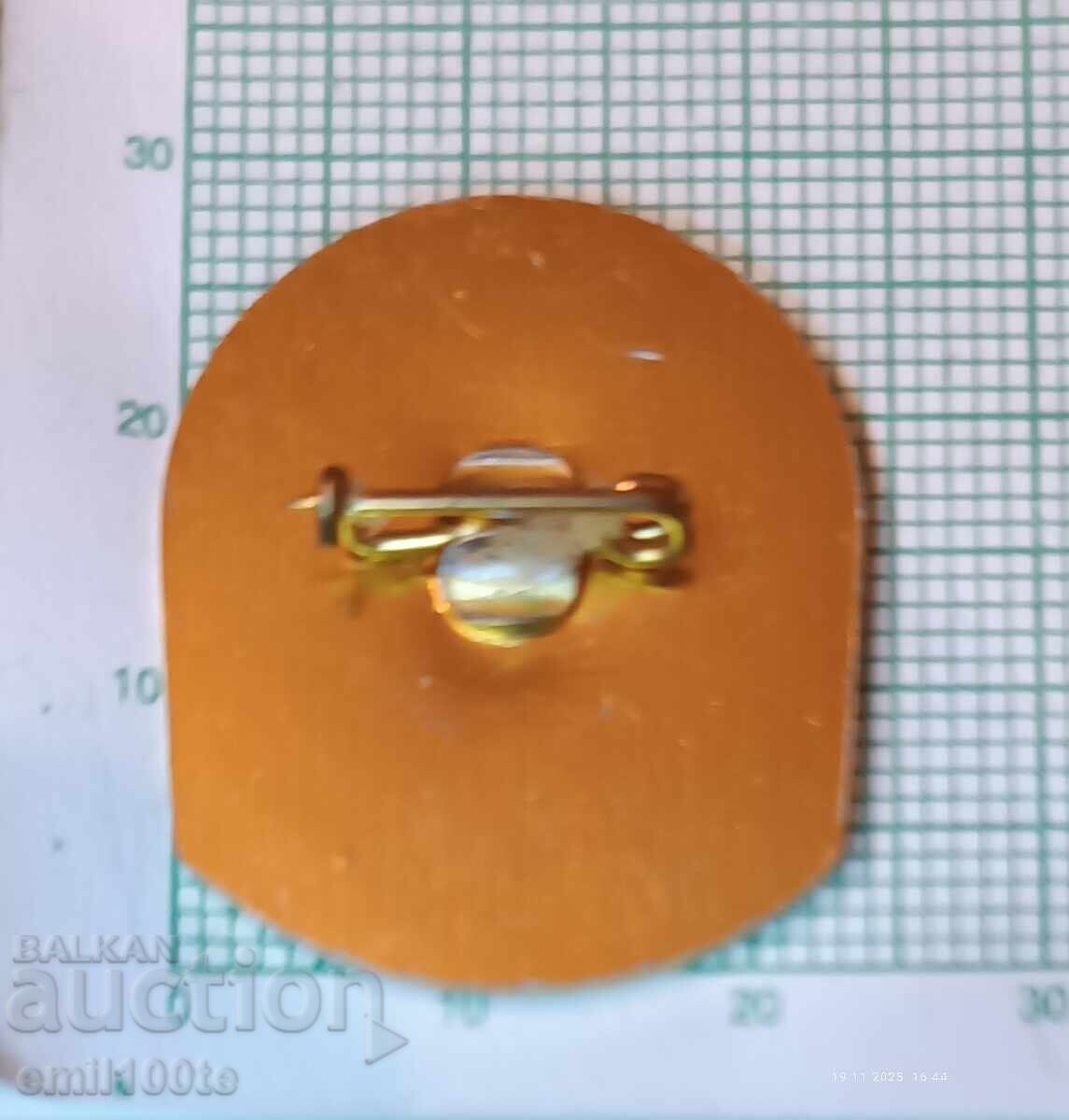 Delivery of Badge - TNTM SIV 89 Council for Mutual Economic Assistance Delivery of Badge - TNTM SIV 89 Council for Mutual Economic Assistance