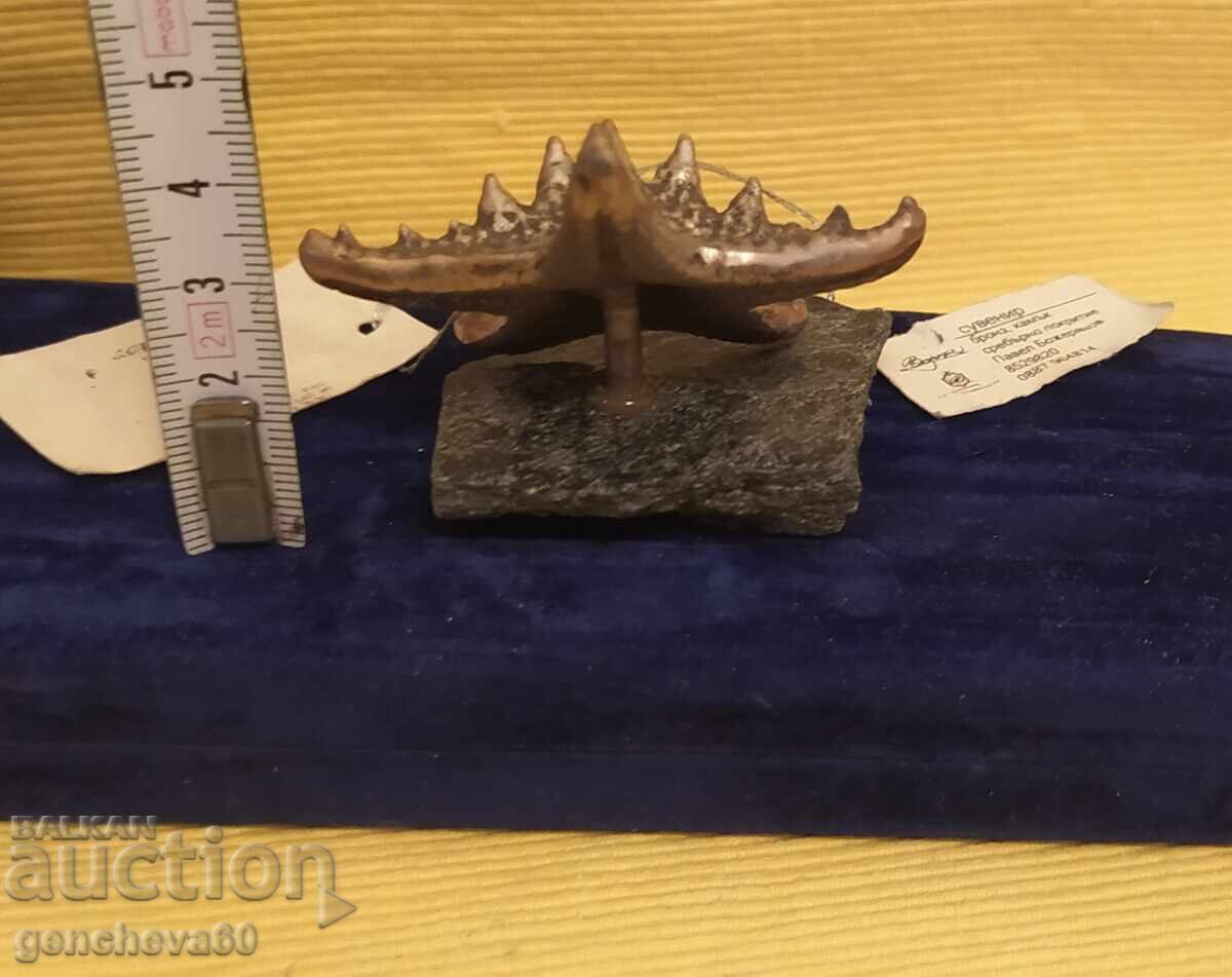 Доставка на Авторска фигура ,,Морска звезда" бронз,сребро