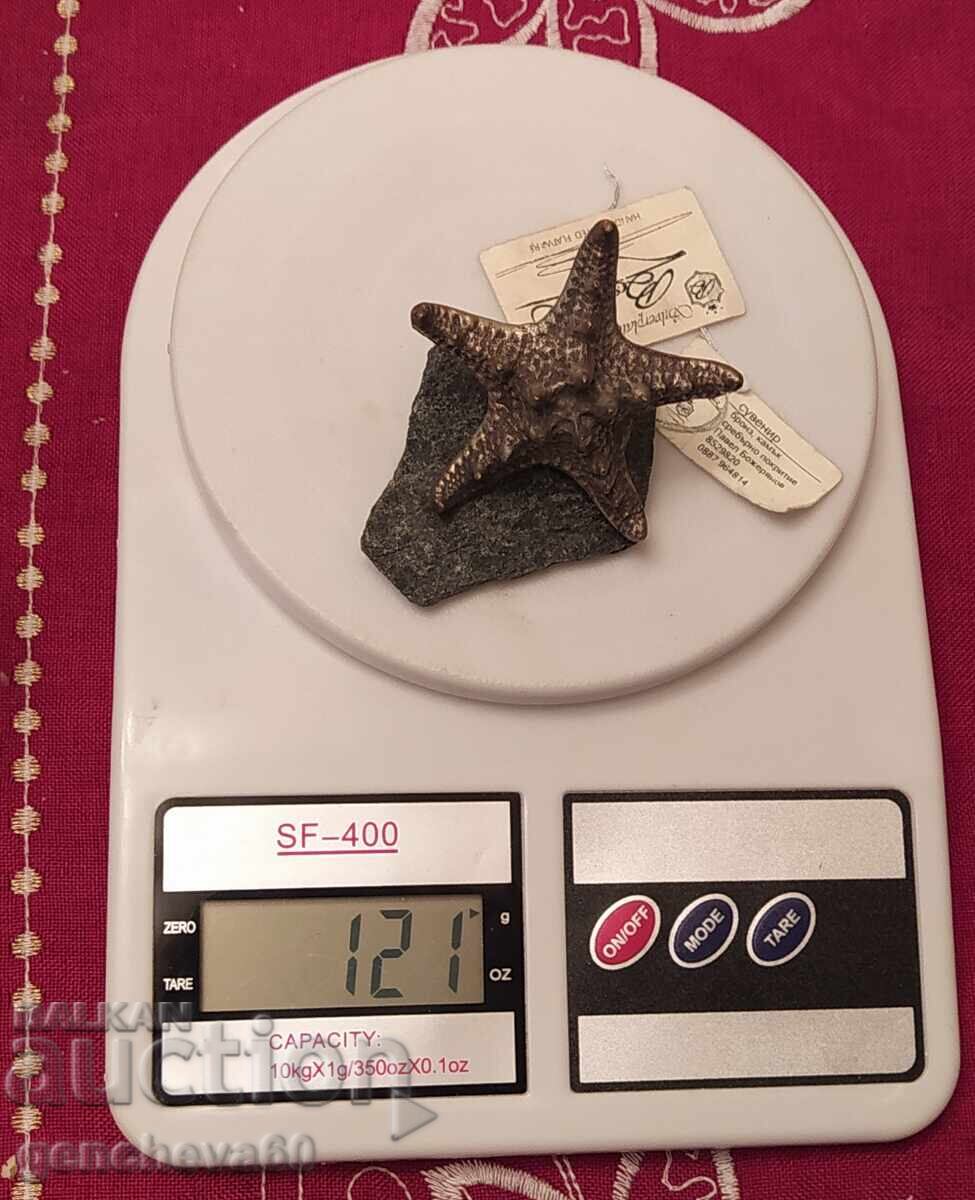 Авторска фигура ,,Морска звезда" бронз,сребро - 7