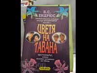 Flowers on the Ceiling VS Andrews