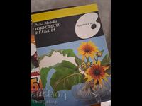 The Art of Ikebana Rima Mirska