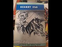 White Tooth Jack London