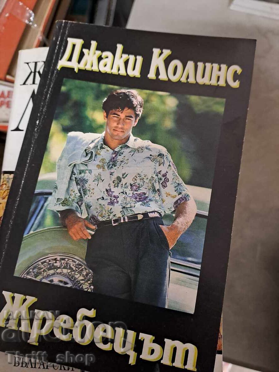 Stallion Jackie Collins Stallion Jackie Collins